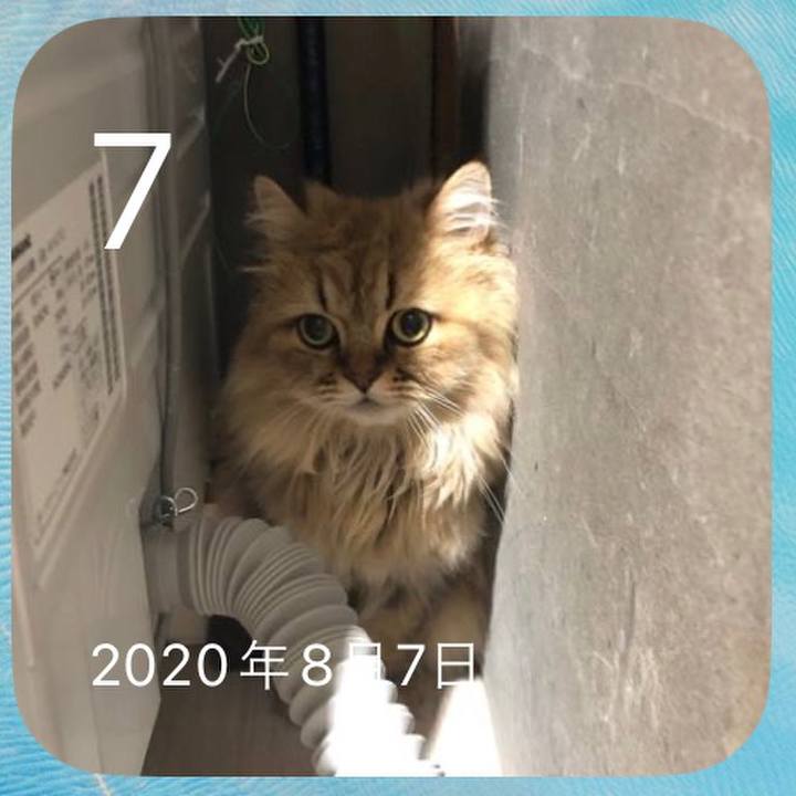 7c3d8f0a d408 4373 b956 5348b3683ff8 1691385605517