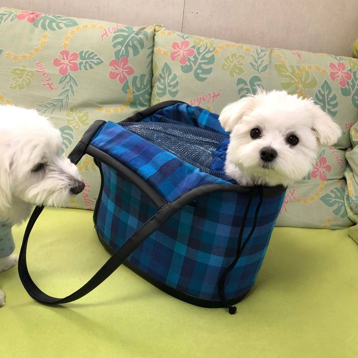 7c3d9ca8 10ce 4e5d 95f1 31e80946a36f 1521855210227