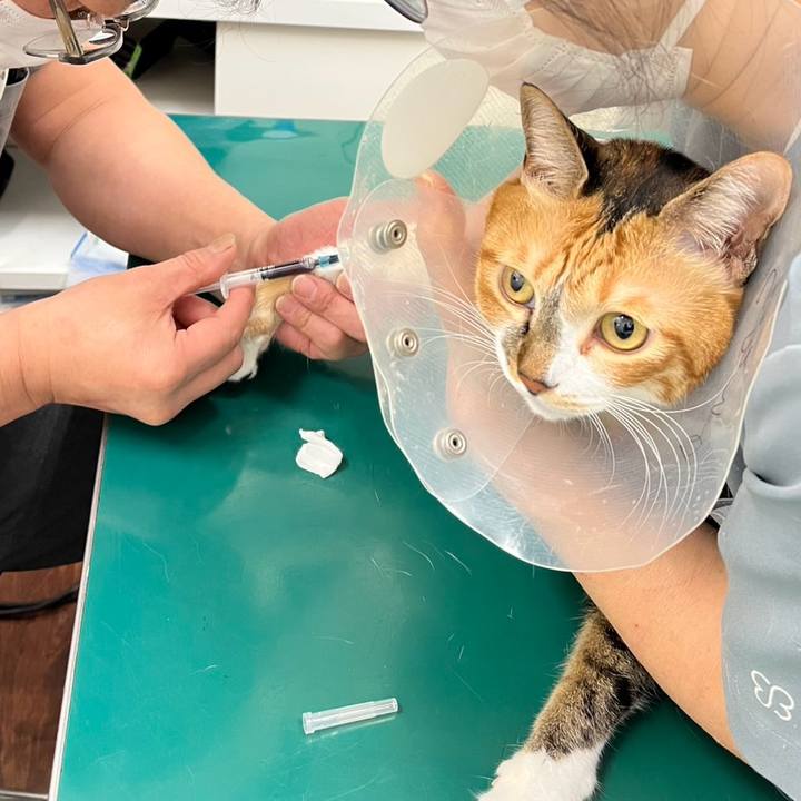 7c3dac6c 2f2b 42b4 ac2b 5d33db3a851c 1765192993675