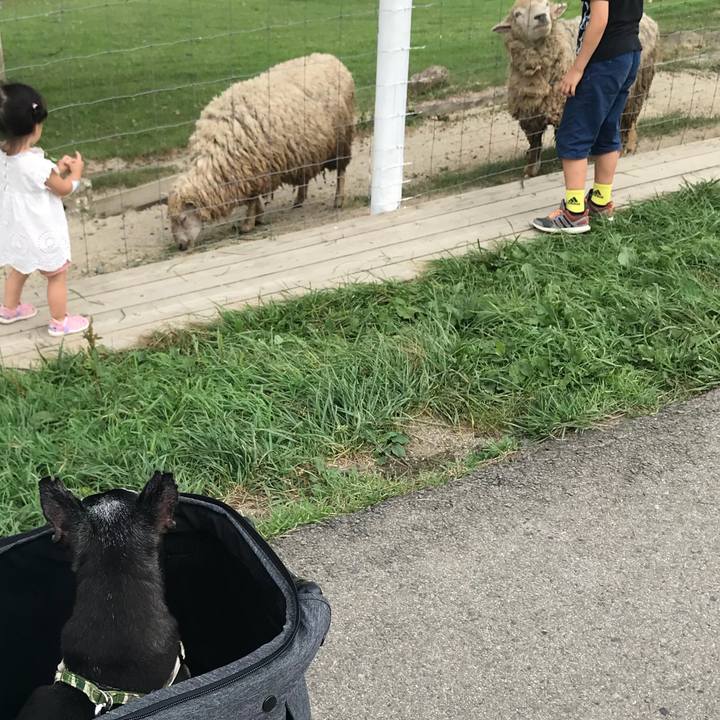 7c3e06ab 7600 4380 9695 fdaf32f97c26 1566126289866