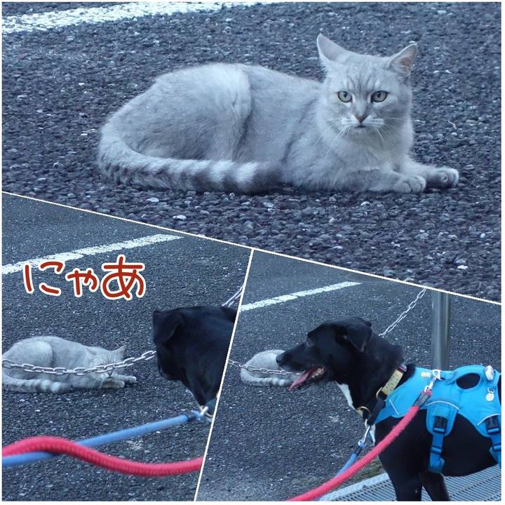 7c3e0fdd 857c 42ef 9a22 4aca0bf4ff18 1626950116494