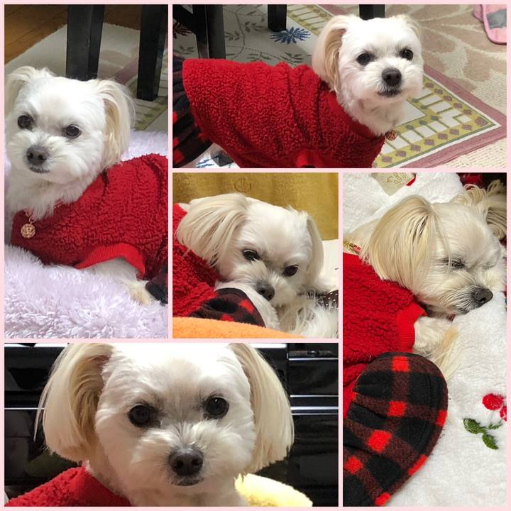 7c3e130d 7d47 4312 8647 a311f2754da4 1674731340882