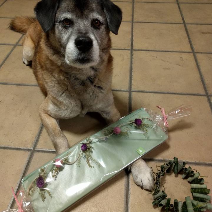 7c3e25f4 2e93 4e1b 8836 4d723b22fbe6 1518866555086