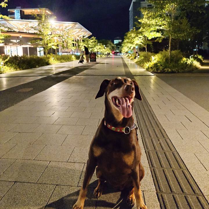 7c3e638b 99a3 4977 aeb4 f31b49e60fcf 1764125812100