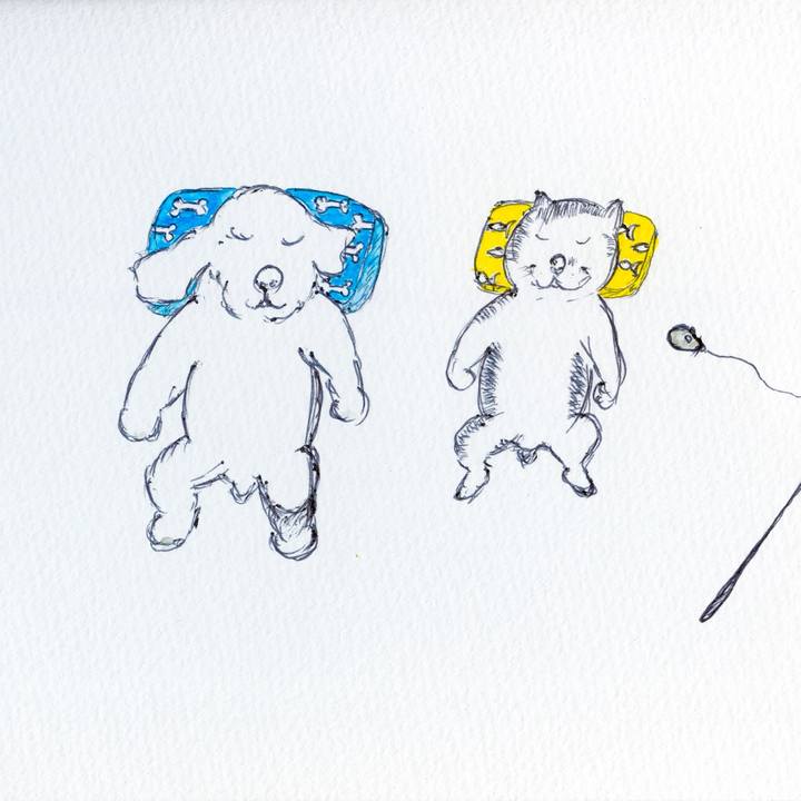 7c3e8005 bd0b 49b9 94b7 3110a71b571d 1600353915973