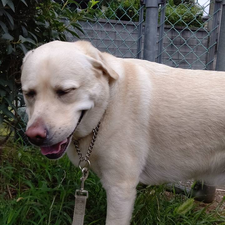 7c3e82ca d51a 4ba1 a8d8 12c66081da4a 1595377317594