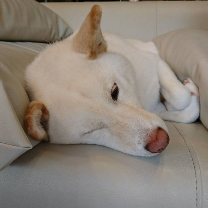 7c3e89bd 779b 4445 b192 0a55e1ba77c6 1549678494924