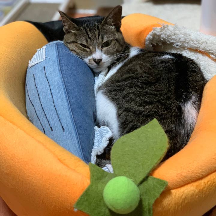 7c3e945a bbd8 4387 bada b1746f961701 1596241666753