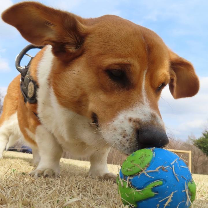 7c3e9dab 7462 4f26 9b63 31b8298fb75c 1681093441156