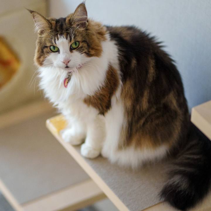 7c3ea3cd 40a4 4b70 b1a2 537cc571de0e 1772340767970