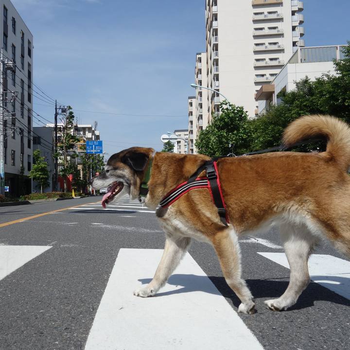 7c3eb526 fdc6 4eec b124 dbce47ef8672 1526086302761