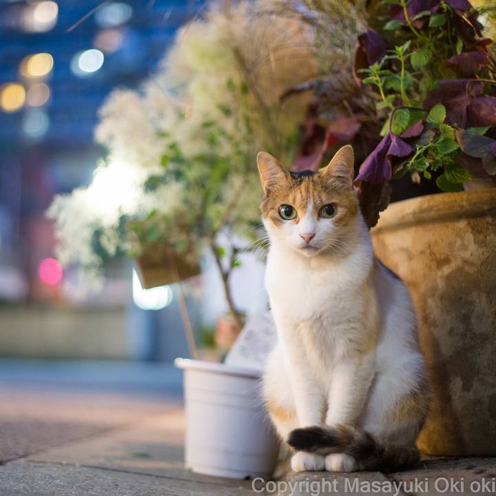 7c3eb64c 1edf 40b3 8d95 8f6276cf5a2b 1587552341023