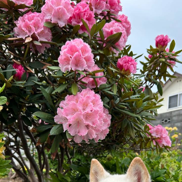 7c3ece3b 6d69 498a 9c75 9f1ab60c1690 1748727078839