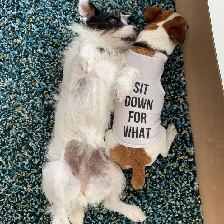 7c3ed039 10b2 4741 ad17 d9f3ee966060 1690371031031