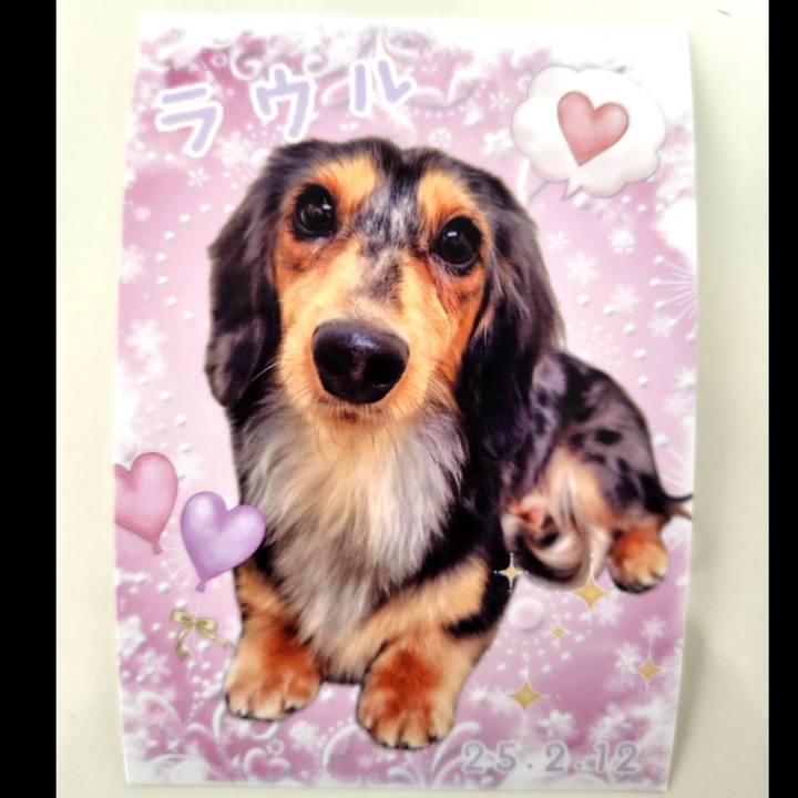 7c3f564c b13c 44d8 a1d8 22872903364e 1739354194317