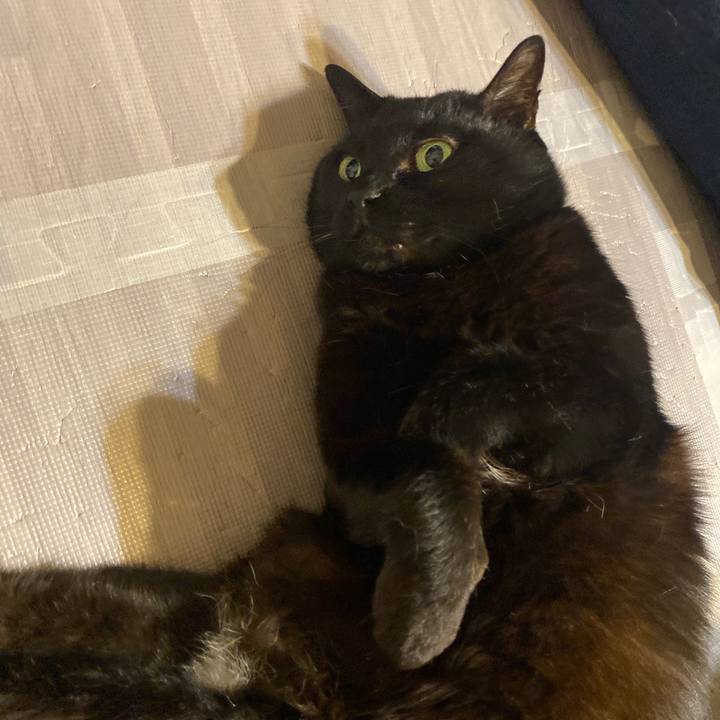 7c3f68dd 931b 40d8 8dc6 a94d8bc236b3 1617458730399