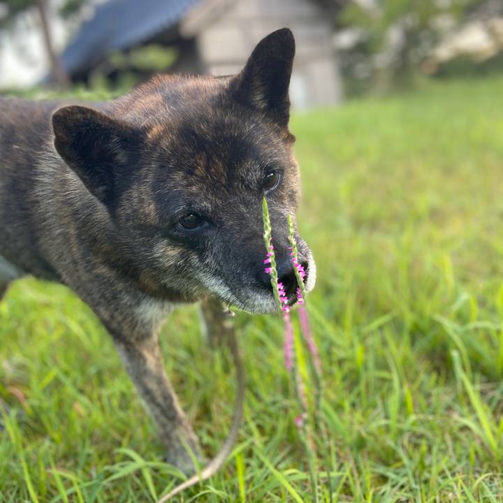 7c3fb97f c7cf 499f 8f05 850e98e5d64a 1598089238706