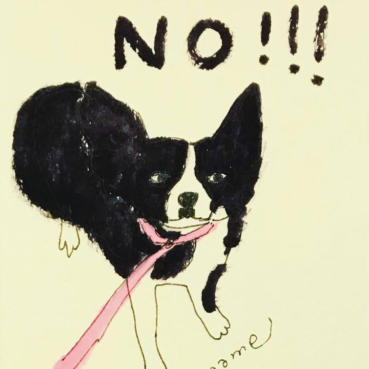 7c3fca58 95e3 4c77 8f1c 7311b821a035 1618584215898