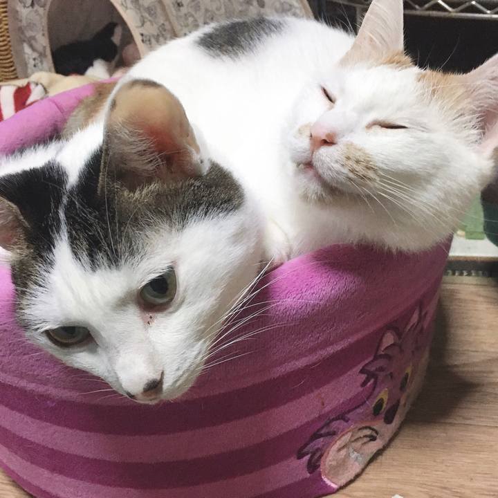 7c3fdb59 387a 4455 b904 736dc581451f 1571700863804