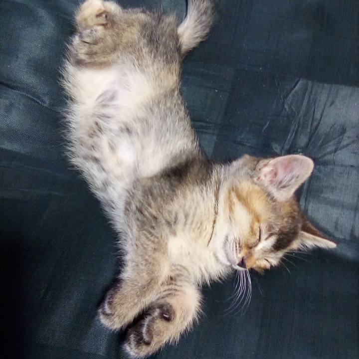 7c3fecba a16b 4dc0 9194 b79eb197eae7 1619911713636