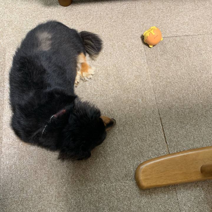 7c3ffa66 0c45 4660 b380 bd3e650d0dd7 1567372532069