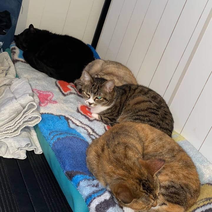 7c4036ae 217c 49d5 9cb1 790bcd159a3d 1590054008949