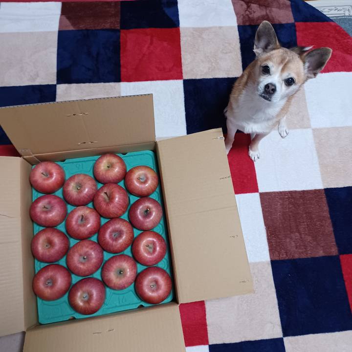 7c40408a 7031 45a5 9896 3d0845fa444e 1765751441238