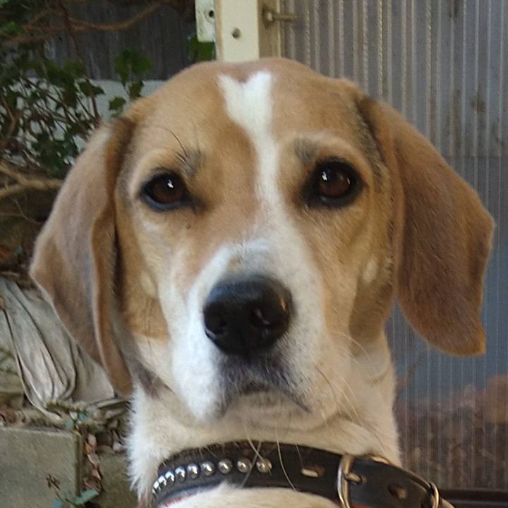 7c4054b0 6693 4e0e 941a 813ad5f7e58c 1636034308783