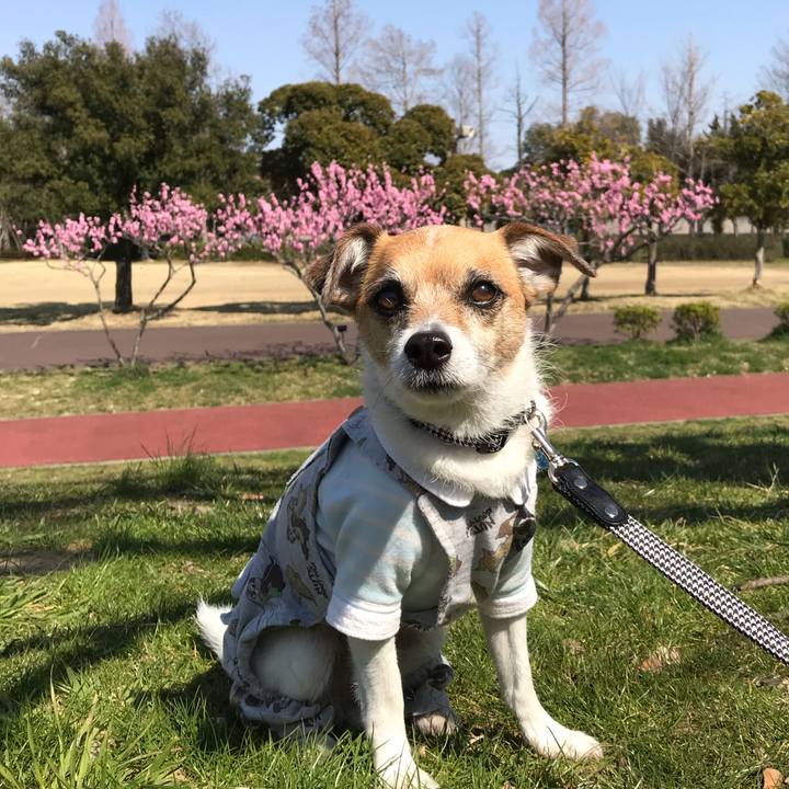 7c406250 3e92 4af8 9b2a 2ad326041fad 1553061042768