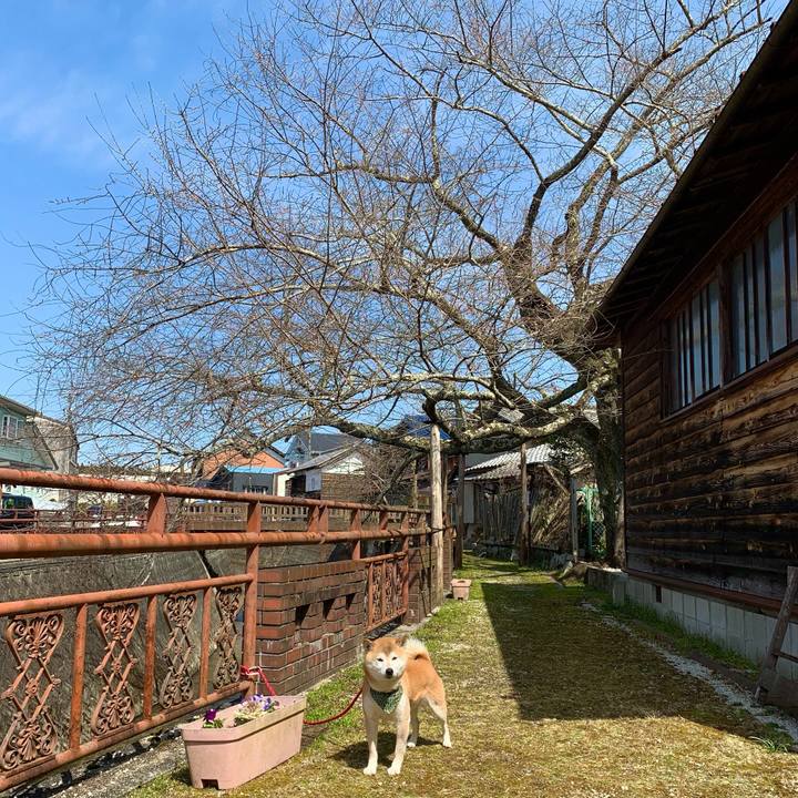 7c4071fe 76df 4bcc b9b2 02808fec66e0 1647858367386