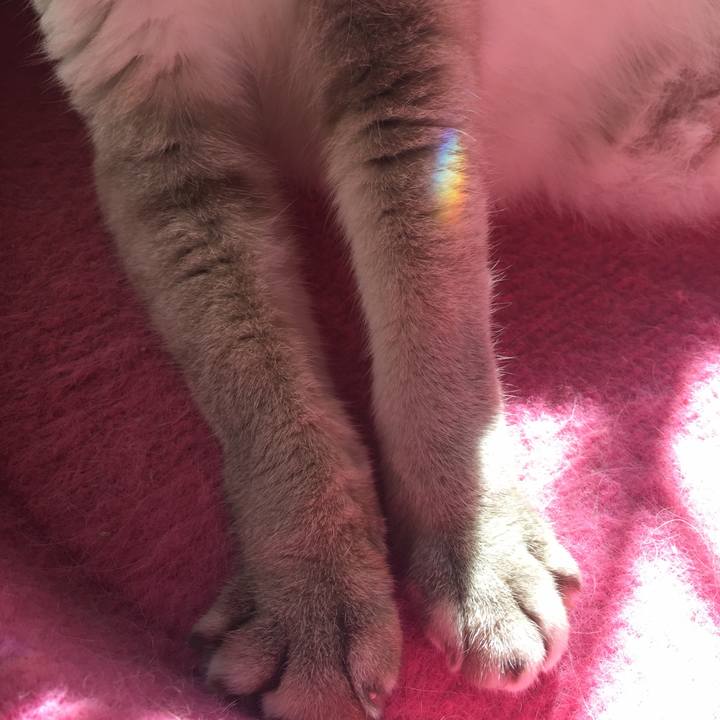 7c40a8e1 9b32 44ba 9e49 be31ad251aa6 1540443060581