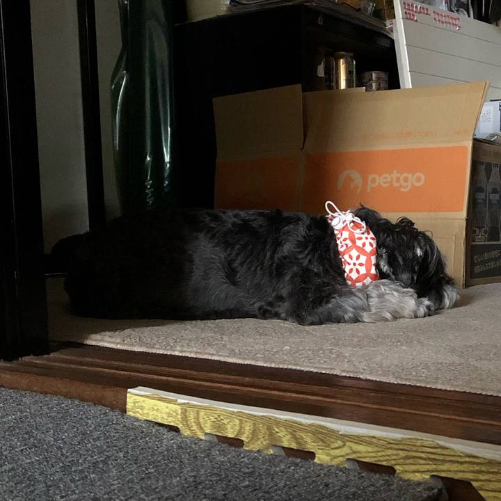 7c410793 114b 44b2 84f7 8f8b82467035 1659832069377