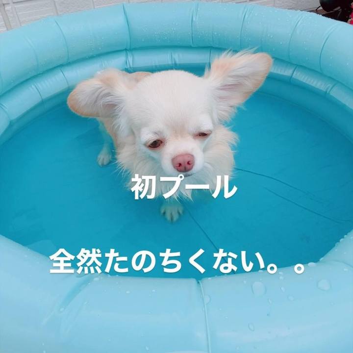 7c414273 2dfd 40e2 a86a 7977b0fd7b37 1692100803378