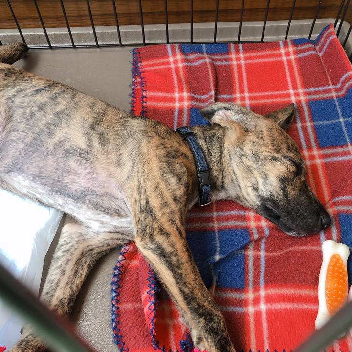 7c4148e9 9bee 4fd4 a226 0fad06c23bf5 1568789240332