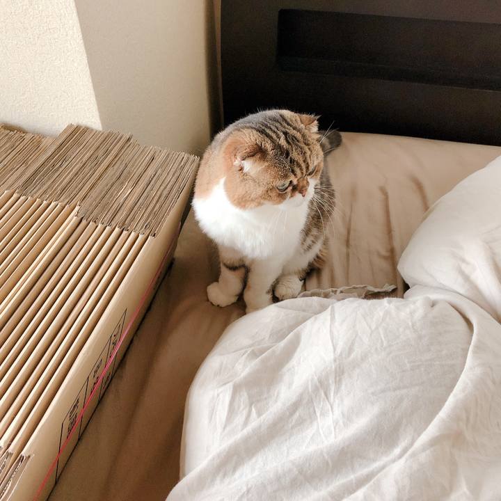 7c41b807 3319 442b a861 9a358739b6d3 1568951721123