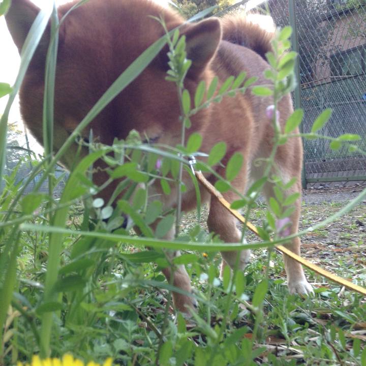 7c41bbd6 fd4a 452e 9aa2 e75c93fa72d5 1523176097139