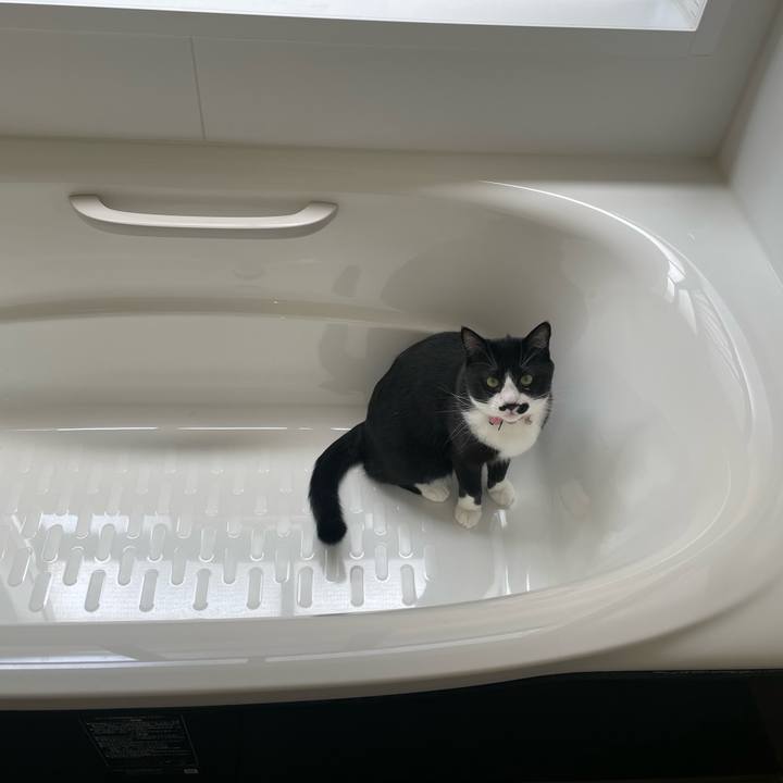 7c4206a7 d04a 4382 80dc af97d710863e 1652320773451