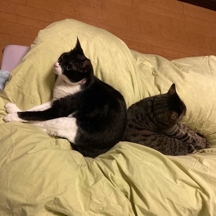 7c429081 13a4 4f49 87d3 57cb9687d260 1620150166188