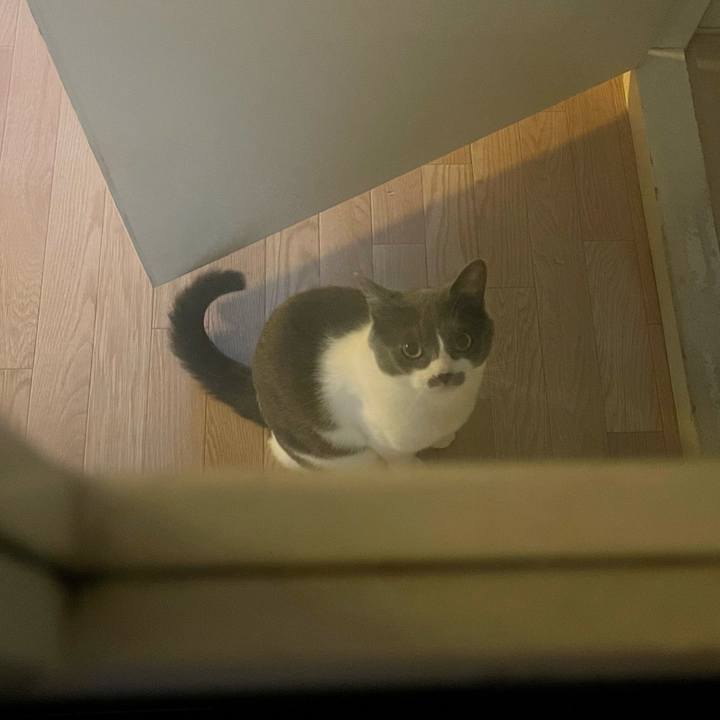 7c42af6e 03a2 4464 9007 4612e7575f78 1654668852026