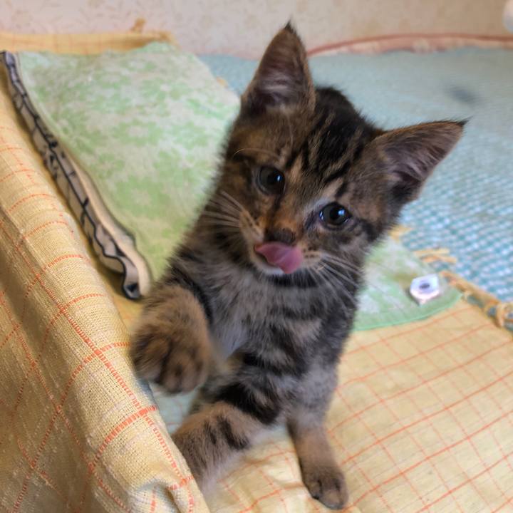 7c432318 db3c 4b5d a947 1906f8ac5d51 1724056540695