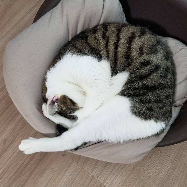 7c4347ff 71d2 4f5b 9fb4 5e7369dbb3f3 1618959837943