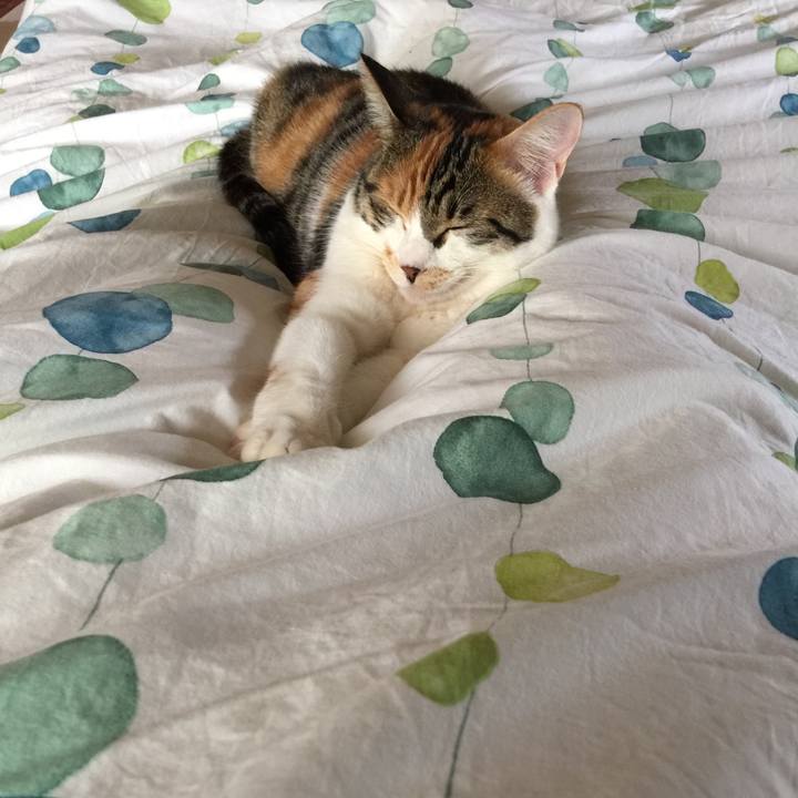 7c434992 ee62 4456 901c 987223e18b55 1654569143503