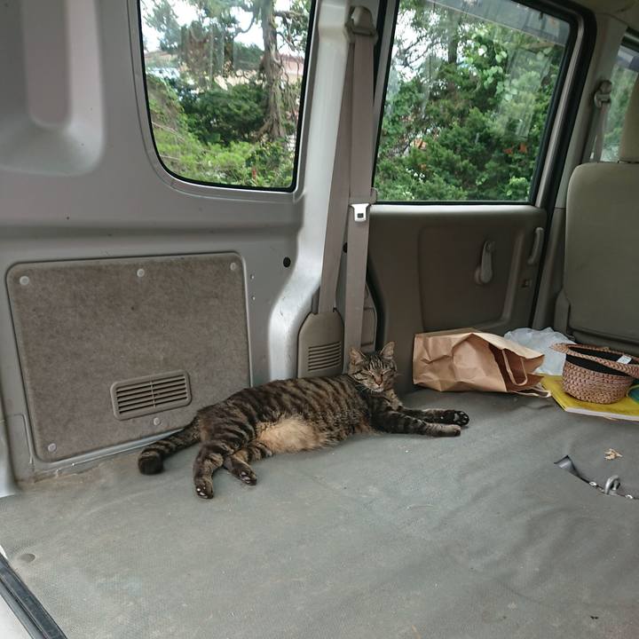 7c4367b9 025f 40f7 85df 81a2b1830722 1657173627010