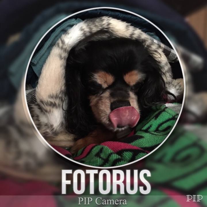 7c4370cc 5471 47f4 a6e8 c1755aca5fca 1523029107616