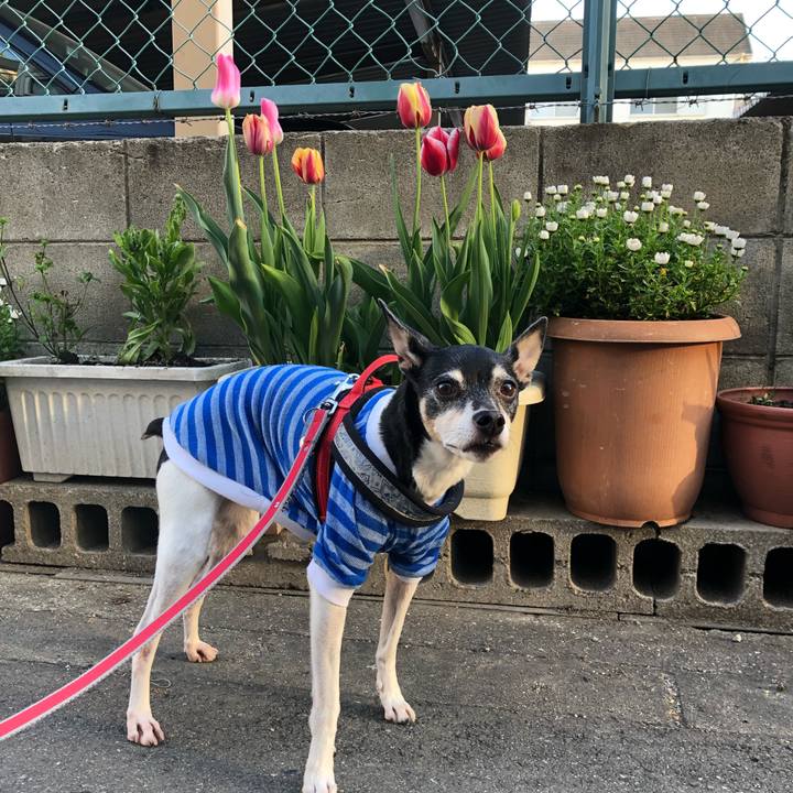 7c438004 8ff9 4a4d b3c3 1580dd6a4628 1555727078084