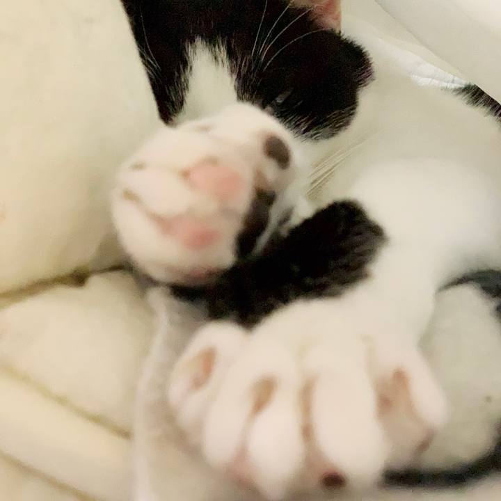 7c438d81 1aaa 447b 815e db426eddd3f7 1551492568198