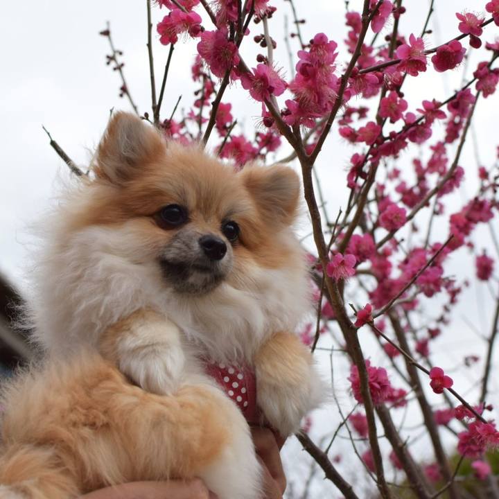 7c439ccd 488a 4395 9380 7d2ecabbe6a6 1519041344361