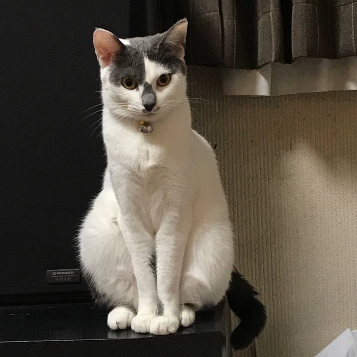 7c43a09d 9644 4ce3 ab59 d4377e096de0 1507893991524