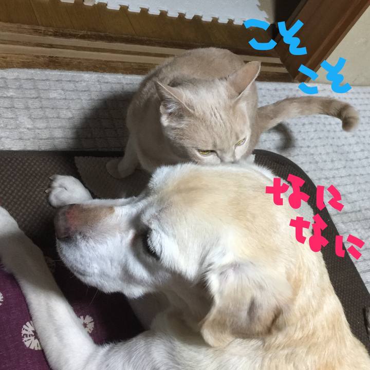 7c43b4b2 462a 4439 9dcd f59c94a7d222 1520328554692