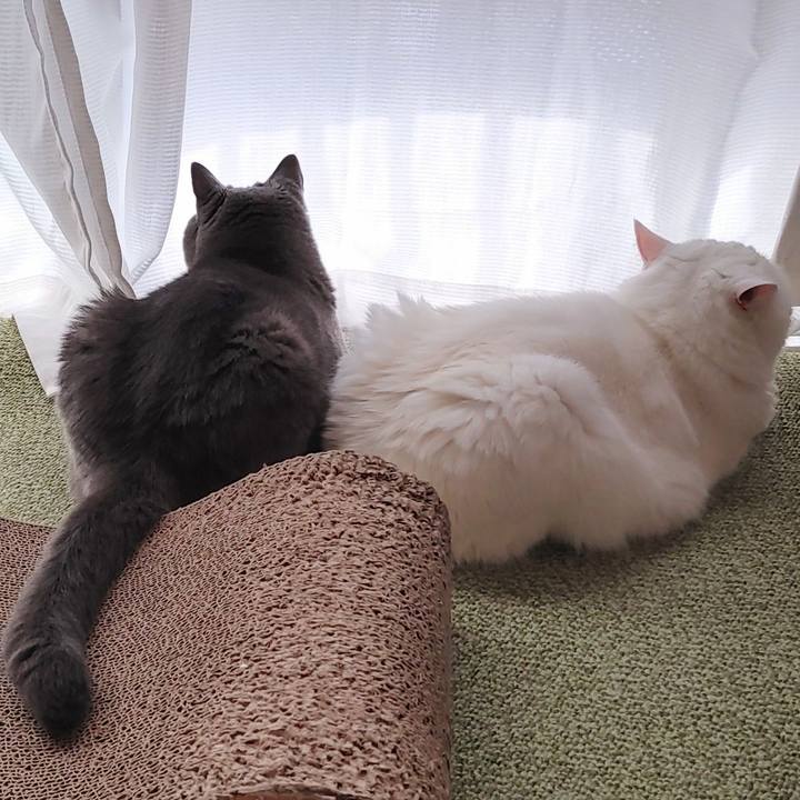 7c43cf1a f20d 4185 9191 e64438f0ded7 1665874037259